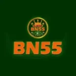 BN55 Game