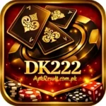 Dk222 Game