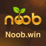 noobwin.apkresult.com .pk 1