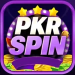 PKRSpin Game
